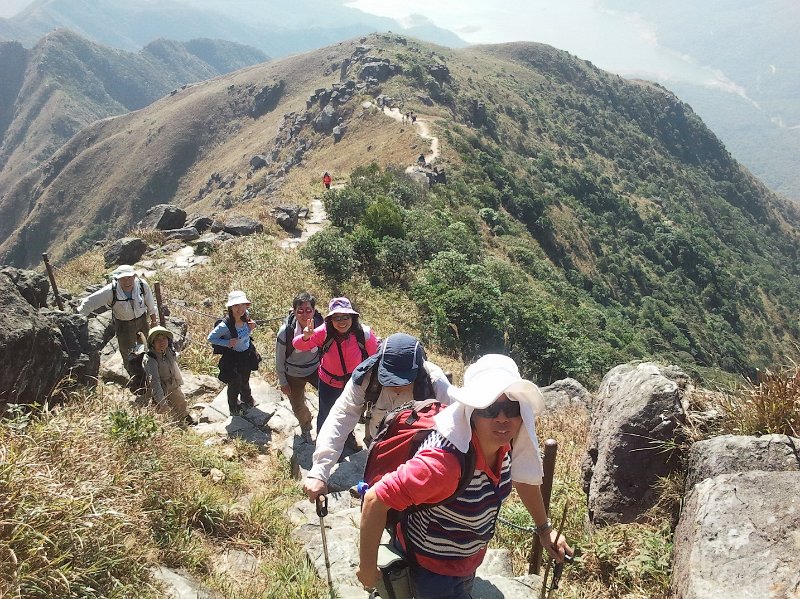 2011-12-11 13.52.26.jpg - 從斬柴坳繼續上登鳳凰山